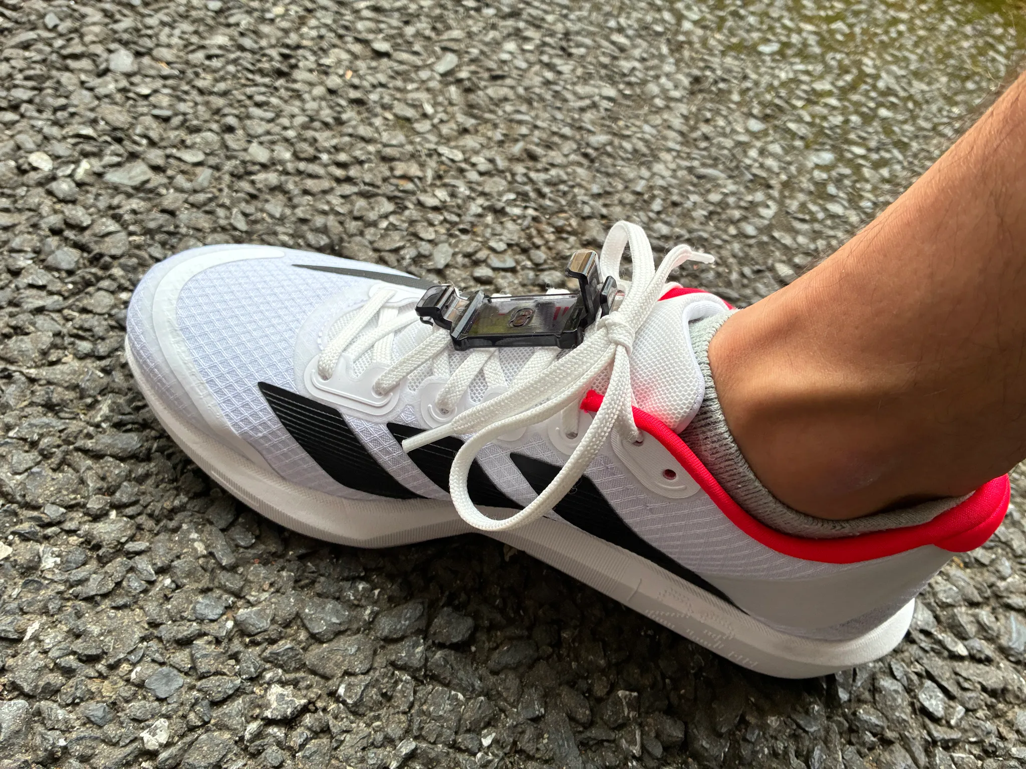 ORPHE CORE shoelace mount attached to a shoe with laces